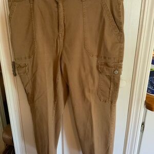 Terra & Sky cargo pants